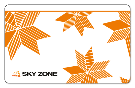 Skyzone logo on white background with orange stars